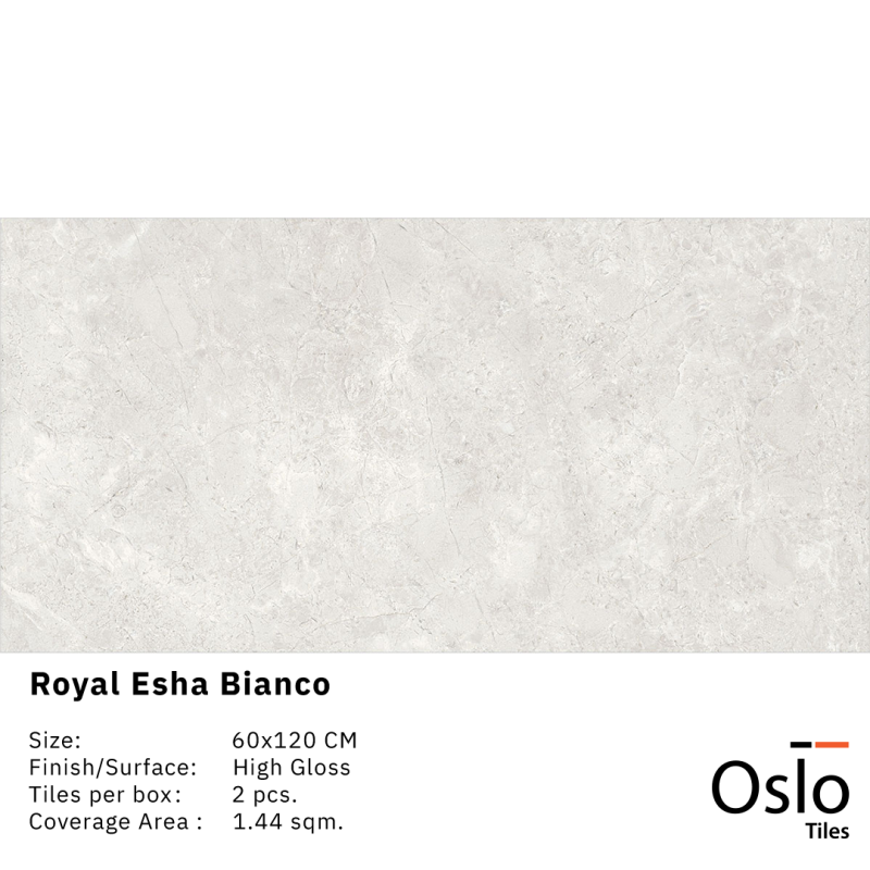 Royal Esha Bianco Porcelain Tile size 60x120CM Grey Stone Design Glossy Finished