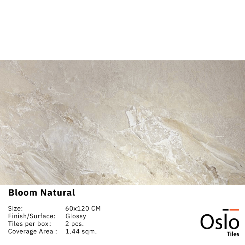 Bloom Natural Porcelain Tile Cream Color Size 60x120 CM Glossy Finish